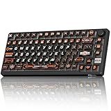 RK ROYAL KLUDGE 75% HE Mechanical Gaming Keyboard Wired Hall Effect Magnetic Compact Keyboard with Rapid Trigger 8000Hz Polling Rate Hot Swappable PCB RGB Backlit PBT Keycaps Volume Knob