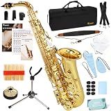 Kmise E Flat Alto Saxophone, Lightweight Saxophones for Students Beginner, Saxofon Full Kit with Portable Case, Sax Stand, Neck Strap, Reeds, Beginner's Guides, Mute, Cleaning Kit (Gold)