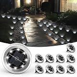 SOLPEX 10 Pack Small Solar Ground Lights, Pathway Lights Cool White
