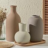 Modern Ceramic Vase Set, Neutral Decorative Vases for Home Decor, Small Flower Pottery Vase Sets for Pampas Grass Dried Flowers, for Happy Birthday Gifts, Self Care Gift