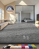 Ophanie Area Rugs for Living Room Bedroom, Upgrade Non-Slip Fluffy Soft Grey Shag Carpet, Indoor Floor Gray 4x6 Fuzzy Shaggy Living Room Plush Rug for Kids Home Dorm Decor Aesthetic