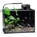 NICREW 2.5 Gallon Nano Nature Aquarium Kit, Ultra-Clear Rimless Desktop Fish Tank with Light, Filter, Gravel and Rock, Perfect for Small Fish, Shrimp, or Betta, Complete Version, Black
