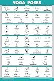 Palace Learning QuickFit Yoga Position Exercise Poster - Yoga Asana Poses Chart - Laminated, 18" x 24"