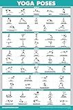 Palace Learning QuickFit Yoga Position Exercise Poster - Yoga Asana Poses Chart - Laminated, 18" x 24"