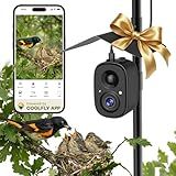 Smart Bird Feeder Camera Solar Powered w/ Pole, 2.5KHD Birdwatching Live Video Auto Capture, AI Identification & Instant Alerts, Wireless Bird Cam Outdoor for Dad Grandpa, Supports 2.4G Wifi Only
