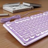 SEUNKWANG Wired Backlit Keyboard with Pudding Keycaps, Quiet Full Size Computer Keyboard White Backlight Easy-to-Read, Never Fade, Metal Panel, USB Cute Desk Setup for Windows PC Desktop, Purple