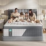 Queen 14 Inch Hybrid Mattress, Medium Firm, 7-Zone Lumbar Support in a Box