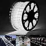 50ft 360 LED Rope Lights Outdoor, Connectable and Flexible Tube Lights with 8 Modes, Waterproof Indoor Outdoor LED Rope Lighting for Deck, Garden, Pool, Patio, Indoor Outdoor Decorations (White)