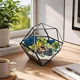 Creations by Nathalie DIY 7" Geometric Terrarium Kit - Build Your Own Glass Terrarium for Adults & Teens with Moss, Crystals, Tools & Decor - Handcrafted in the USA (Live Plant Included)