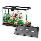 Aqueon Aquarium Starter Kit with Smart Clean Filtration and LED Lighting, Freshwater and Saltwater Fish, Perfect for Tetras, Guppies, Platies, 10-Gallon