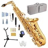 STRICH Eb Alto Saxophone Brass Student Beginner Alto Sax Kit with Hard Case Stand Neck Strap Mouthpiece and Reeds for School Band Home Practice, SAS-130G, Gold
