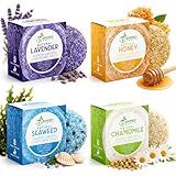 Solid Shampoo Bar And Conditioner Effect Hair Soap – 4 Pack 100% Organic Shampoo Bars For Hair With All Natural Plant Based Essential Oils And Eco Friendly Zero Waste Biodegradable Packaging
