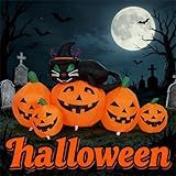 5 FT Halloween Inflatable Pumpkin Patch Decoration with Black Cat Blow Up Decor 5PCS Pumpkin Built-in LED Lights Yard Holiday Party Inflatables for Garden Lawn Decor