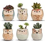 T4U 2.5 Inch Owl Ceramic Succulent Planter Pots with Drainage Hole Set of 6, Mini Cute Flower Pots Tiny Plant Holder Container Best for Home Office Garden Decoration Owl Gift Ideas