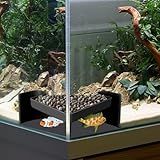 Aquarium Underground Cave with Viewing Window - 2 Hole Corner Fish Tank Hideout for Pleco, Cory Catfish, Kuhli Loach, Shrimp & Betta - Safe Decor Hide Decorations for Bottom Dwellers (5"L x 5"W x 2"H)