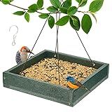 Kingsyard WPC Composite Platform Bird Feeder for Outside, Heavy Duty Hanging Tray for Mealworms & Seeds, 3.5 lbs Large Capacity, Weatherproof Recycled Plastic Material, Easy to Clean, Green