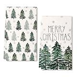 DineDia Merry Christmas Kitchen Towels Set of 2,Green Xmas Tree Snowflake Dish Hand Towels Holiday Home Indoor Bathroom Party Seasonal Noel Decorations DD018