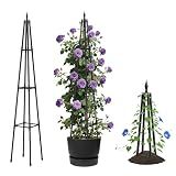 Alisisfores 5.2 FT Obelisk Trellis for Climbing Plants, Black