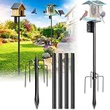 Heavy Duty Bird Feeder Pole - 75" Adjustable Birdhouse Stand Outdoor, Anti-Tip Stakes & Stable Mount for Smart Camera Birdfeeder,Bluebird House, Bird Buddy, Birdfy