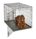 Midwest Homes for Pets 42-Inch New World Crate for Large Breeds, 71-90 lbs, Single Door Folding Dog Crate, Leak-Proof Tray & Secure Latch, Portable, Durable & Easy to Assemble