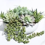Winlyn 9" Artificial Succulent Arrangement Succulent Plants in Gray Round Planter Faux Potted Succulents for Home Office Bedroom Kitchen Bathroom Table Centerpiece Windowsill Shelf Mantel Decor