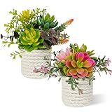 FOUSUKA Set of 2 Fake Succulents Plants Artificial Small Succulent Plants Potted for Home Decor Indoor Table Living Room Bedroom Bathroom Shelf Women Office Desk Accessories Decoration (Green)