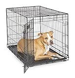 MidWest Homes for Pets 36-Inch iCrate Folding Dog Crate with Divider Panel, Leak-Proof Tray & Secure Latches – Metal Wire Kennel for Medium Large Breeds – Portable, Durable & Easy to Assemble