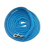 All-Purpose Nylon Horse Lead Rope | Lightweight and Soft Lead Rope | Double Braided | (Blue, 10')