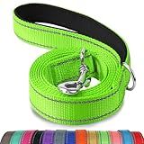 Joytale Dog Leash, 6 FT Double-Sided Reflective, Padded Handle Nylon Heavy Duty Leashes for Medium & Large Dogs Walking, Green