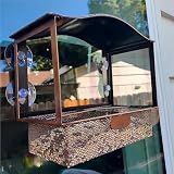 Lilyang Window Bird Feeder with Strong Suction Cups