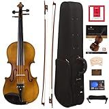 Cecilio Full Size 4/4 Violin with Hard Case & Shoulder Rest - Solidwood Ebony Fitted Violin with D'Addario Strings, Ideal for Beginners