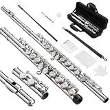 POGOLAB Closed Hole C 16 Keys Flute for Student Beginner, Flute Instrument with Cleaning Kit, Carry Bag, Strap, Probe Rod, Gloves (Nickel)
