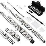 POGOLAB Flutes, Closed Hole C 16 Keys Flute Instrument, Student Flute for Beginner Advanced Player, with Cleaning Kit, Carry Bag, Strap, Probe Rod, Gloves (Nickel)