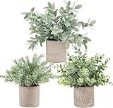 Der Rose 3 Pack Mini Potted Fake Plants Artificial Plastic Eucalyptus Plants Topiaries for Home Office Desk Farmhouse Shelf Room Bathroom Decor(Sage Green)