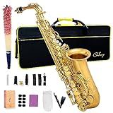 Cadway Alto Saxophone Eb beginner Saxophone includes brush canvas suitcase glove whistle piece cork plaster wipe cloth neck strap and other accessories (Gold)
