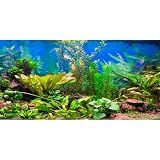 48x24 in Aquatic Plant Aquarium Backdrop Riverbed Fish Tank Background
