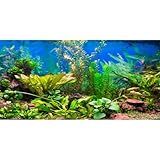 AWERT 48x24 inches Aquarium Background Aquatic Plant River Bed & Lake Fish Tank Background Vinyl