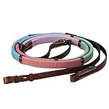 Kincade Pastel Rainbow Reins, Multi Pastel, 5/8"x54"
