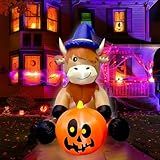5FT Halloween Inflatable Witch Hat Highland Cow Holding Pumpkin Decorations Built-in LED Lighted Blow Up Decoration Home Yard Outdoor Indoor Garden Lawn Decor