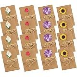 Maydahui 16 PCS Dried Flower Greeting Card 6.7" X 4.3"Handmade