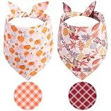 Gofshy Fall Dog Bandanas 2PCS Large, Thanksgiving Pumpkin Leaf Scarf