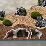 LIYAOLI Aquarium Ornaments Cave Tunnel with Viewing Ports | Fish Tank Decoration Hideout for Pleco, Shrimp & Corydoras | Substrate-Friendly Design & Sinking Base (S - White)