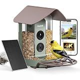 Kiwibit Smart Bird Feeder with 4K AI Camera Solar Powered, No Subscription