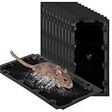 10 Pack Sticky Mouse Trap Rat Traps Indoor, Peanut Taste Pheromone Mouse Traps Indoor for Home