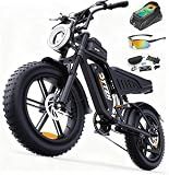 1500W Adult Electric Bike, Fast E Bike for Adults Electric Fat Tire Ebike