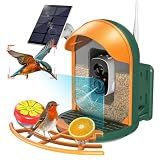 Smart Bird Feeder with Camera, Solar Powered, 2K HD, Night Vision
