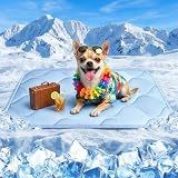 QOKO Cooling Mat for Dogs and Cats 24" x 18", Premium Pet Cooling Bed Indoor Outdoor w Ice Silk, Summer Cool Pad for Puppy Kitty, Non-Slip Washable Pet Blanket for Crate Kennel (Cryo Ice Blue)