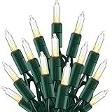 TW SHINE Warm White Christmas Lights Outdoor, 20FT 100 Count Incandescent Christmas Light Indoor, Waterproof Christmas Tree String Lights for Xmas Decorations