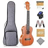 Ranch 23" Concert Ukulele Beginner Kit, Sapele Wood, Arched Back Tone