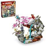 LEGO NINJAGO Dragon Stone Shrine - Build and Display Ninja Toy with 6 Action Figures - Advanced Building Set for Boys and Girls Ages 13+ - Gift Idea for Christmas - 71819
